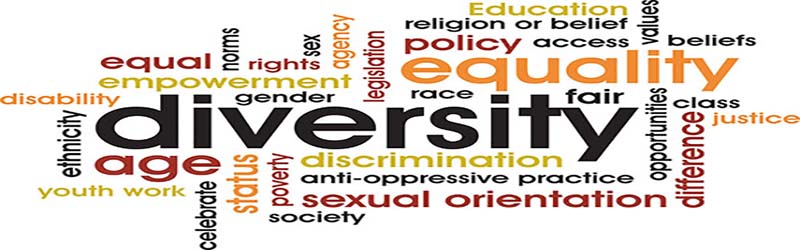 Diversity rights and equality essay