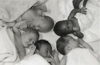 Whittington midwifery partnership recognised by the Department of Health