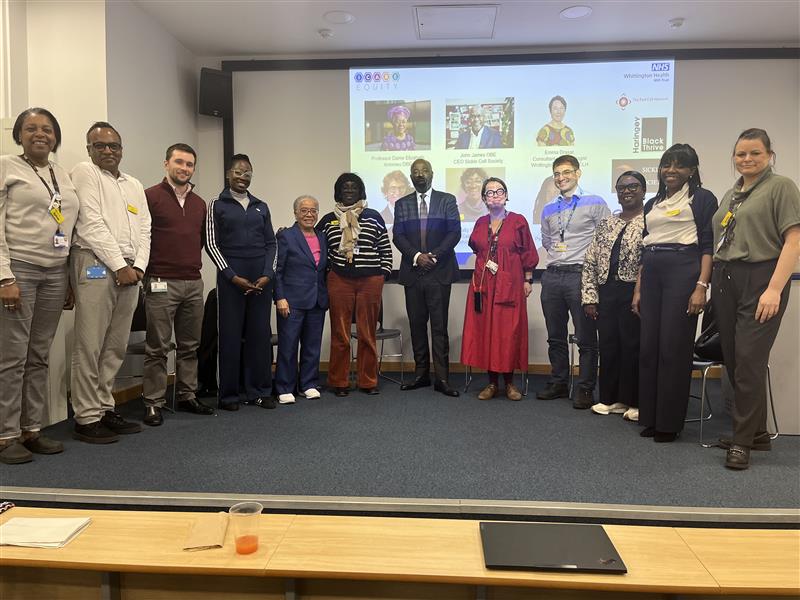 Panel speakers from the SICKLE docufilm screening