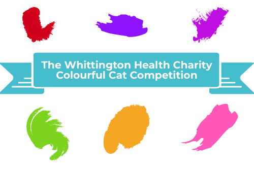 The Whittington Health Charity Colourful Cat Competition