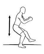 Single leg squat graphic Single leg squat graphic