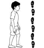 Tandom walking graphic Tandom walking graphic