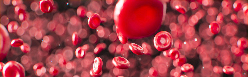 Red blood cells in blood Red blood cells in blood