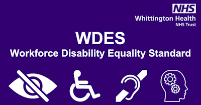 Workforce Disability Equality Standard graphic