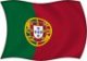 Portugese flag Portugese flag