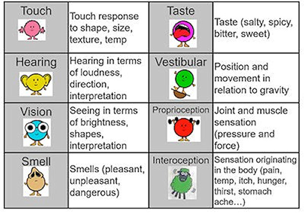 Our internal senses table graphic