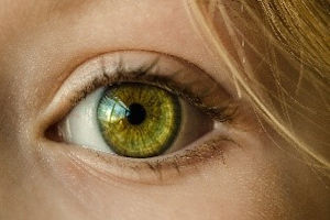 Close up of child green eye