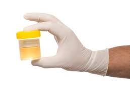 Urinary Tract Infections Urinary Tract Infections
