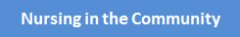 Nursing in the Community Button