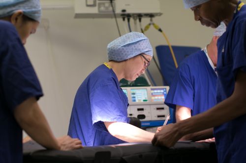 Nurses at work