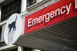 Emergency Department and Urgent Treatment Centre Emergency Department and Urgent Treatment Centre