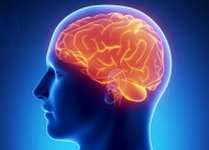 Neurology