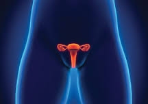 Gynaecology Services