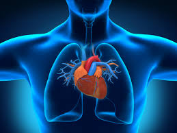Heart graphic