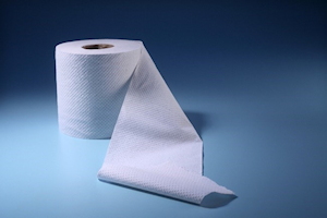 Toilet roll Toilet roll