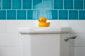 Yellow duck on toilet cistern Yellow duck on toilet cistern