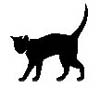 The Whittington cat
