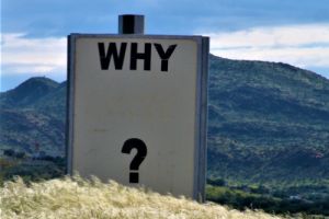 Windfal - Course content - Q&A with the Consultant - Introduction Windfal - Course content - Q&A with the Consultant - Introduction