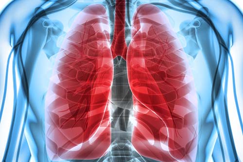 Lung 3D