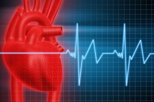 Cardiac Investigations Cardiac Investigations