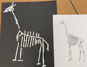 Funnybones giraffe art display