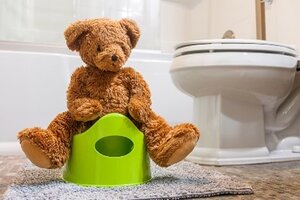 Teddy bear on a green potty