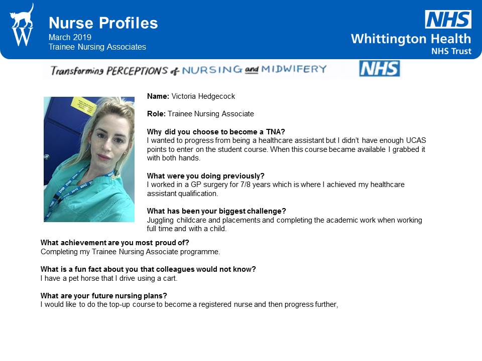 Profile Of Nurse From Health Team - HooDoo Wallpaper