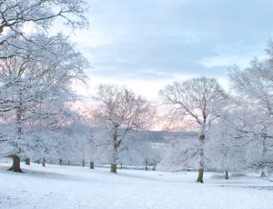 Keeping well this winter