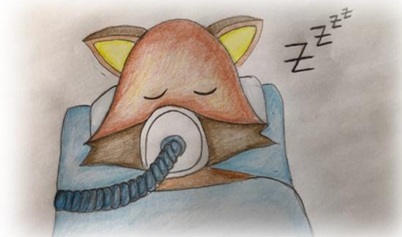 Cody sleeping under anaesthesia