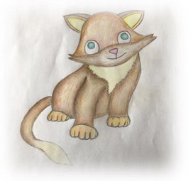Cody the cat image