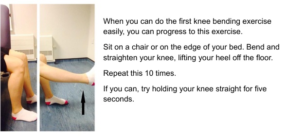 Seated knee flexion and extension image