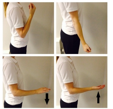 Exercise lifting arm up and down image