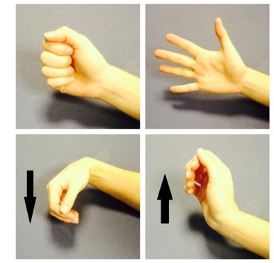 Hand exercises fist clench image