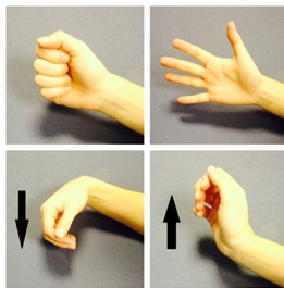 Hand wrist and elbow exercises 1