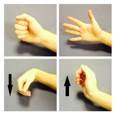 Hand and wrist exercises 1 and 2