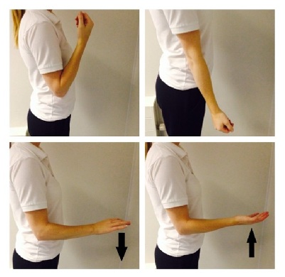 Hand and wrist exercises 3 and 4