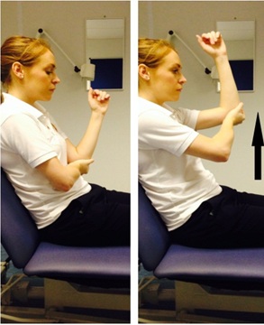 Active Assisted Flexion image