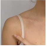 Shoulder