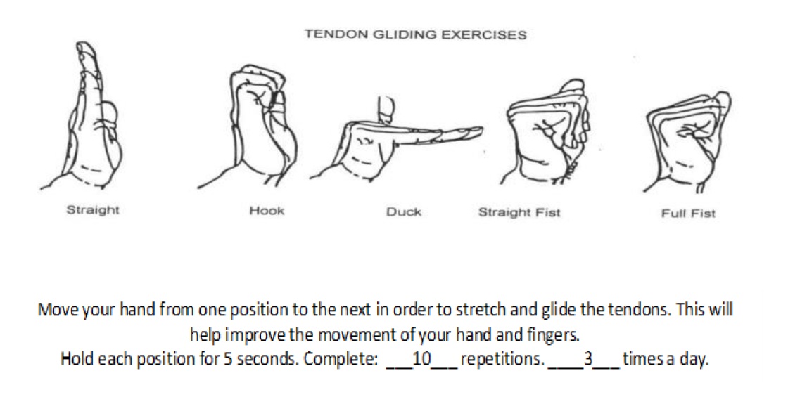 Tendon gliding exercises