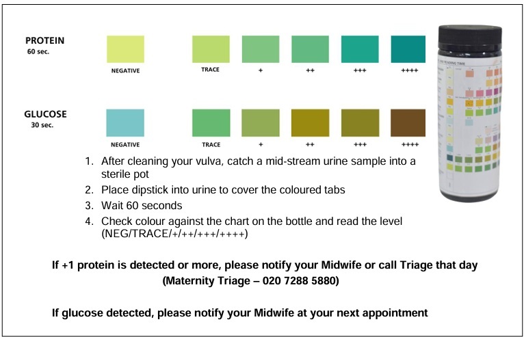 Urine monitoring image
