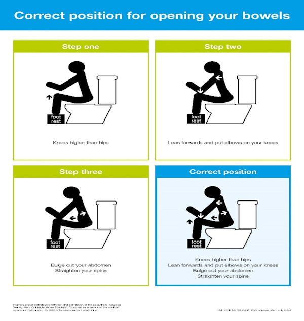Correct position for opening your bowels
