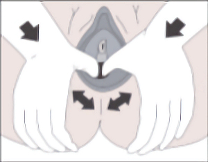 Thumbs inside vagina image Thumbs inside vagina image