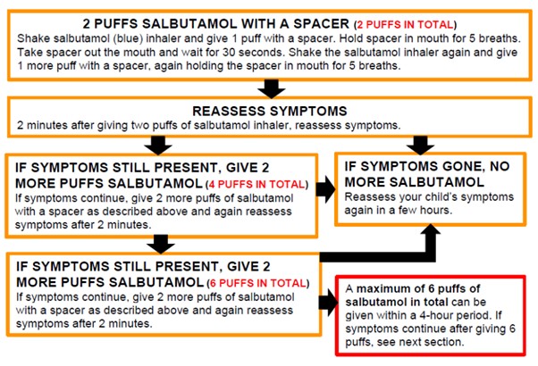 Salbutamol with spacer flow chart