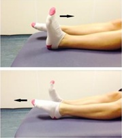 Exercise - point toes up and down