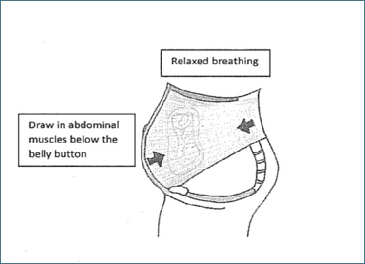 Deep abdominal muscle exercise diagram