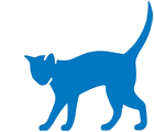 The Whittington Cat