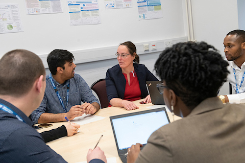 Research Team Research Team