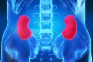 Nephrology Nephrology