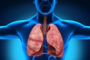 Respiratory Medicine Respiratory Medicine