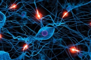 Neurophysiology/ Electroencephalogram (EEG) Neurophysiology/ Electroencephalogram (EEG)